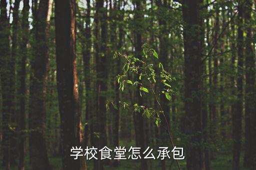 學校食堂怎么承包