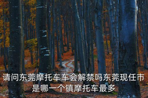 請問東莞摩托車車會解禁嗎東莞現任市是哪一個鎮摩托車最多