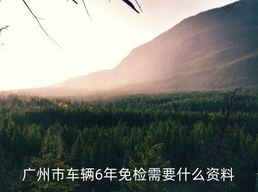 廣州 免檢 年審資料，廣州汽車年審要帶什么資料