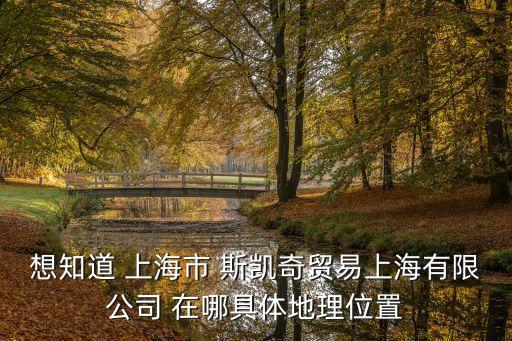 想知道 上海市 斯凱奇貿易上海有限公司 在哪具體地理位置