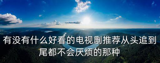 有沒有什么好看的電視劇推薦從頭追到尾都不會厭煩的那種