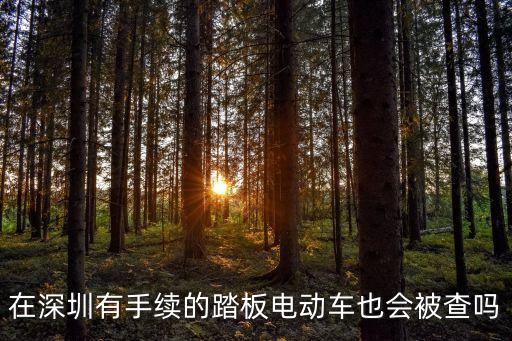 在深圳有手續(xù)的踏板電動車也會被查嗎