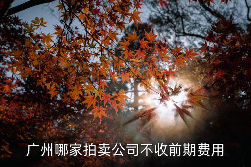 廣州哪家拍賣公司不收前期費用