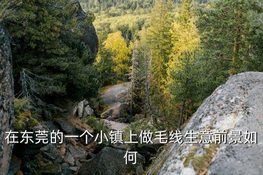 東莞毛織重大項目，大朗最大的毛織廠叫什么