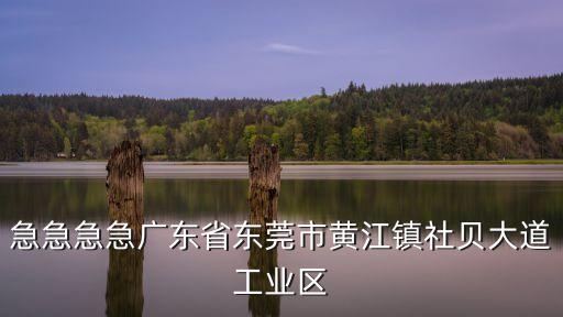 志邦飾品東莞黃江，急急急急廣東省東莞市黃江鎮社貝大道工業區
