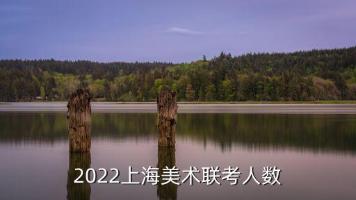 2014上海市美術聯考多少人，2012年上海美術聯考大約總共多少人