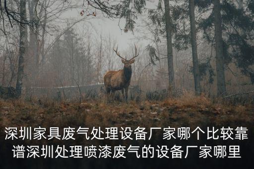 深圳家具廢氣處理設備廠家哪個比較靠譜深圳處理噴漆廢氣的設備廠家哪里