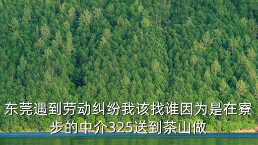 東莞遇到勞動糾紛我該找誰因為是在寮步的中介325送到茶山做