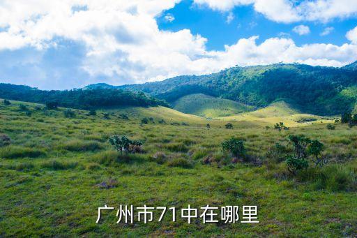 廣州71中學官網，廣州市第71中學在哪啊