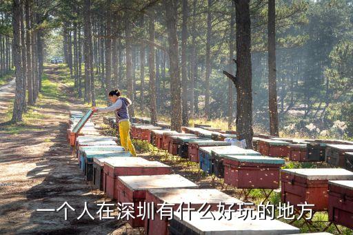一個(gè)人深圳去哪里玩兒比較好，一個(gè)人在深圳去哪里好玩點(diǎn)