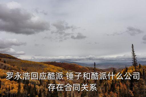 羅永浩回應酷派 錘子和酷派什么公司存在合同關系