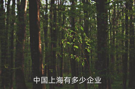 中國上海有多少企業(yè)