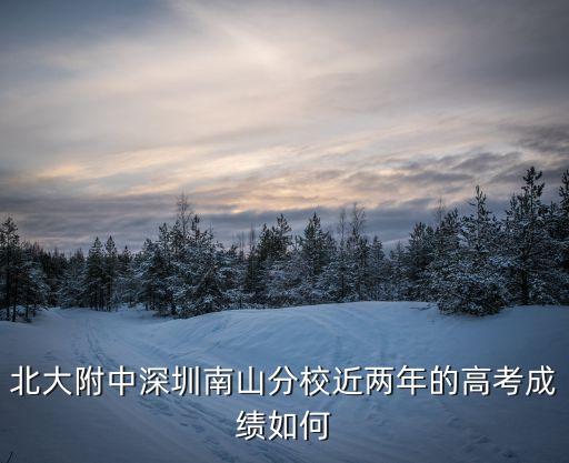 廣州北大附中高考成績，廣州北大附中高中好嗎本科錄取率多少