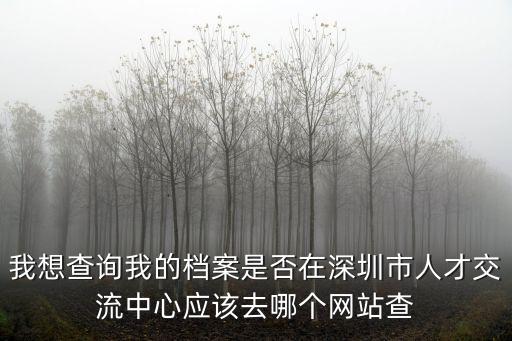 我想查詢我的檔案是否在深圳市人才交流中心應該去哪個網站查