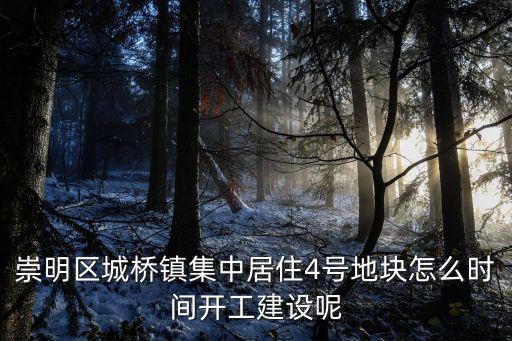 上海市4號地塊，地塊4號線最晚幾點