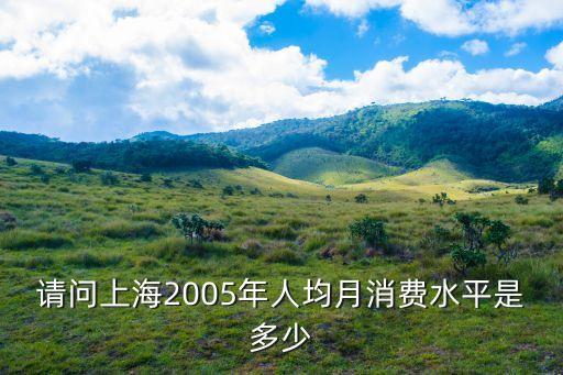 上海市五五消費，請問上海2005年人均月消費水平是多少