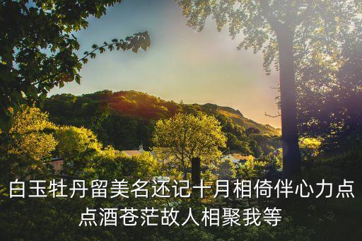 廣州等你來拿，白玉牡丹留美名還記十月相倚伴心力點點酒蒼茫故人相聚我等