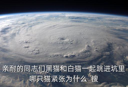 親耐的同志們黑貓和白貓一起跳進(jìn)坑里哪只貓緊張為什么  搜