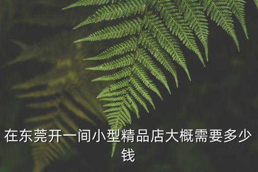 在東莞開一間小型精品店大概需要多少錢