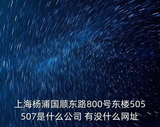 上海市楊浦門戶網站，上海楊浦國順東路800號東樓505507是什么公司 有沒什么網址