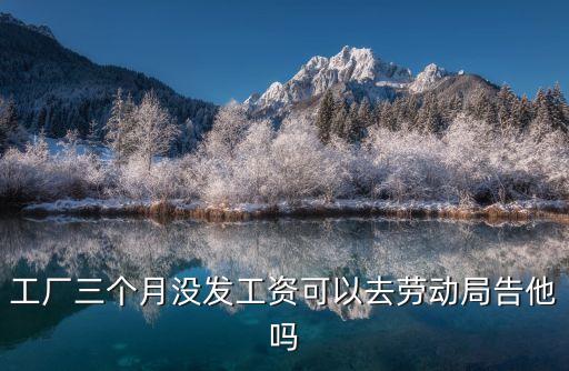 工廠三個月沒發(fā)工資可以去勞動局告他嗎