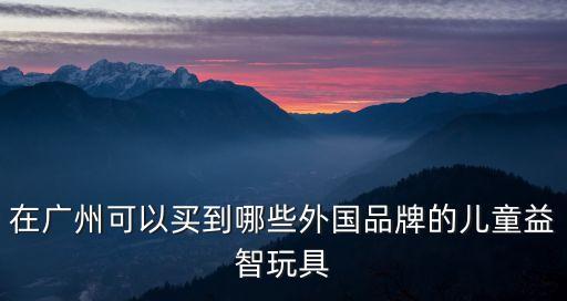 在廣州可以買到哪些外國(guó)品牌的兒童益智玩具