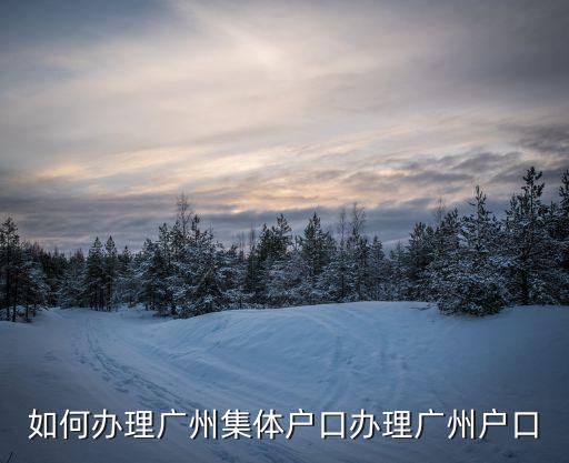 廣州 公共集體戶 咨詢，如何申請入戶廣州公共集體戶