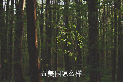 五美園怎么樣