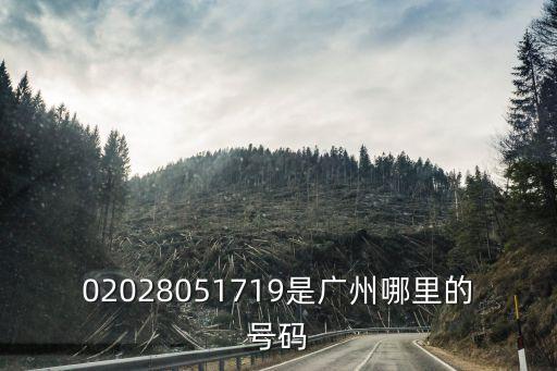 02028051719是廣州哪里的號碼