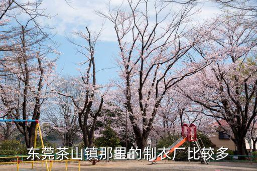 東莞茶山鎮那里的制衣廠比較多