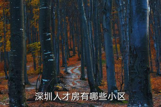 深圳大洋田因人才房，深圳人才房怎么申請需符合什么條件