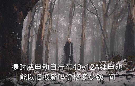 捷時威電動自行車48v12A鋰電池能以舊換新嗎價格多少錢  問