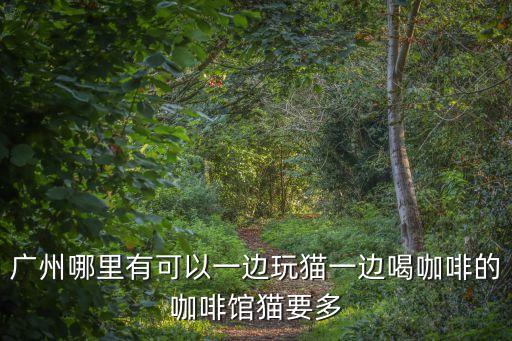 廣州教育路貓咖，廣州有哪些不限時且好的貓咖