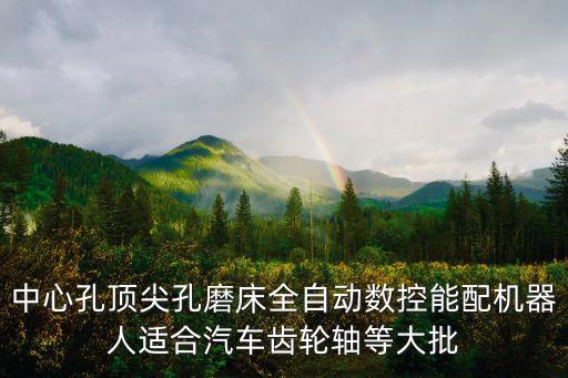 中心孔頂尖孔磨床全自動(dòng)數(shù)控能配機(jī)器人適合汽車齒輪軸等大批