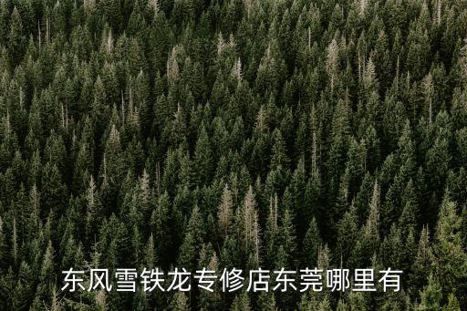 東風雪鐵龍專修店東莞哪里有