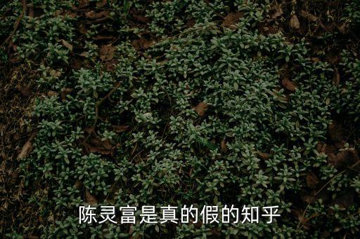 陳靈富是真的假的知乎