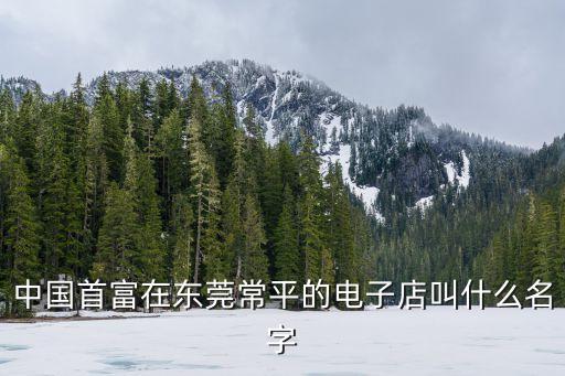 中國(guó)首富在東莞常平的電子店叫什么名字
