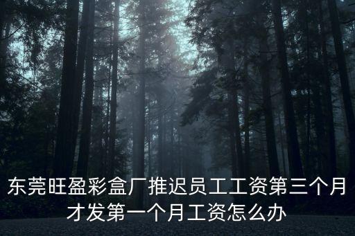 東莞旺盈彩盒廠推遲員工工資第三個月才發第一個月工資怎么辦