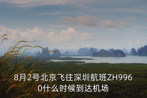 8月2好深圳航班查詢，8月2號(hào)北京飛往深圳航班ZH9960什么時(shí)候到達(dá)機(jī)場(chǎng)