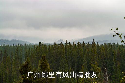 廣州巨虹風油精，廣州哪里有風油精批發