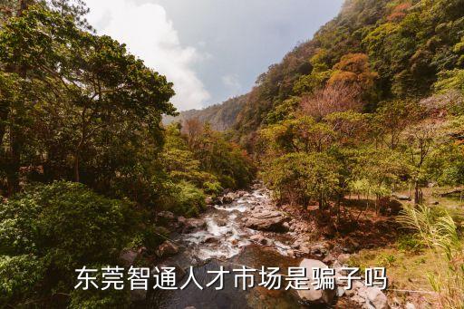 東莞智通人才網有限公司，東莞智通人才市場詳細地址