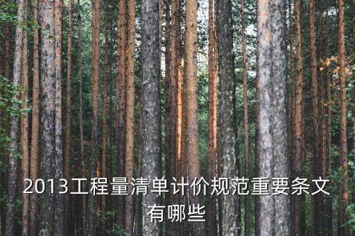 上海市13清單計(jì)量規(guī)范電子版，2013版建設(shè)工程工程量清單計(jì)價(jià)規(guī)范誰(shuí)有電子版啊