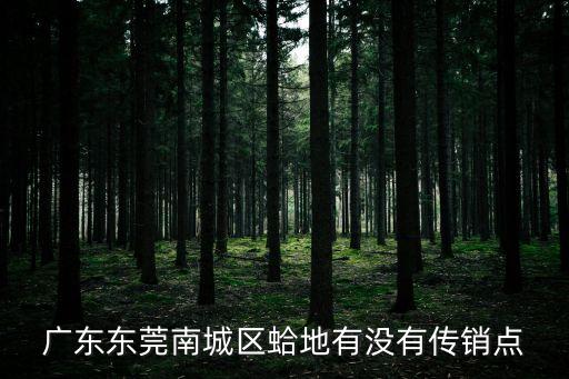 廣東東莞南城區蛤地有沒有傳銷點