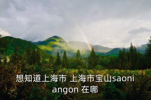 上海市寶山區萬盛家園地址，想知道上海市 上海市寶山saoniangon 在哪