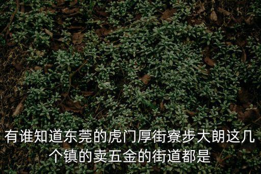 有誰知道東莞的虎門厚街寮步大朗這幾個鎮的賣五金的街道都是