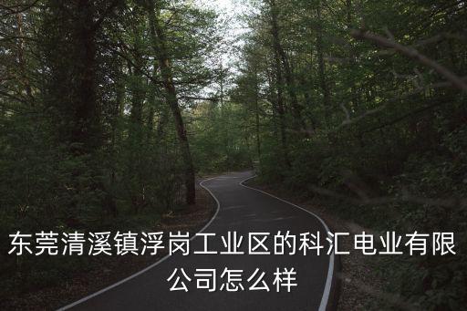 東莞清溪鎮(zhèn)浮崗工業(yè)區(qū)的科匯電業(yè)有限公司怎么樣
