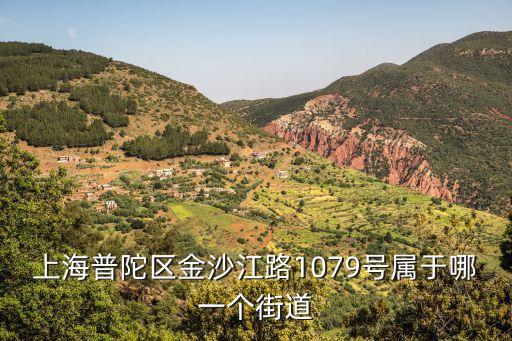 上海市普陀區(qū)長(zhǎng)風(fēng)新村街道團(tuán)支部，上海市普陀區(qū)東新路347號(hào)長(zhǎng)風(fēng)新村街道