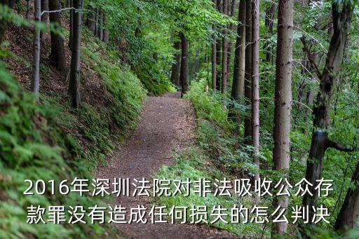 2016年深圳經濟案，深圳2016上半年的gdp增長了多少深圳為什么近幾年發展這么快  搜