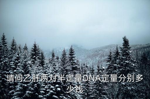 請問乙肝兩對半定量DNA定量分別多少錢