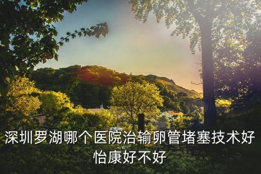 深圳羅湖哪個醫院治輸卵管堵塞技術好怡康好不好